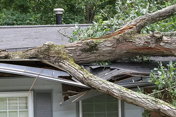 Roof-Insurance-Claim-in-Elkhart.