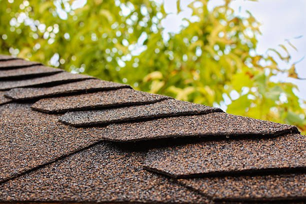 Close-up of a stone-coated steel roof showcasing textured shingles in various shades.